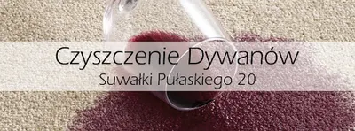 Pralnia Pułaskiego 20